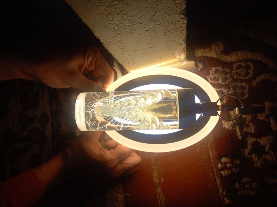 Лустра для спалыний