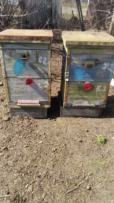 Улья для пчел...