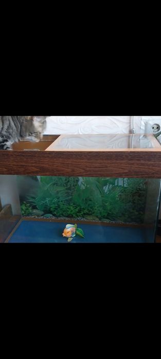 ПРОДАМ аквариумы  3 шт