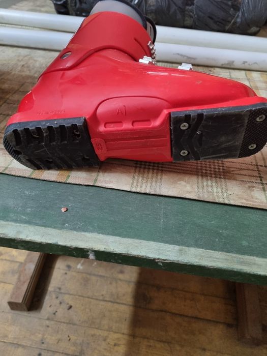 Vând clapari Salomon