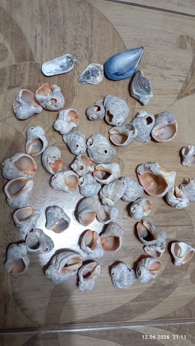 Декорация,ракуш.,камни, др.Г Астана