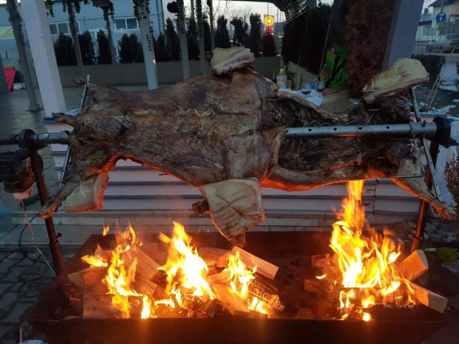 Protap rotisor animale - vitel purcei miei nunti botezuri evenimente