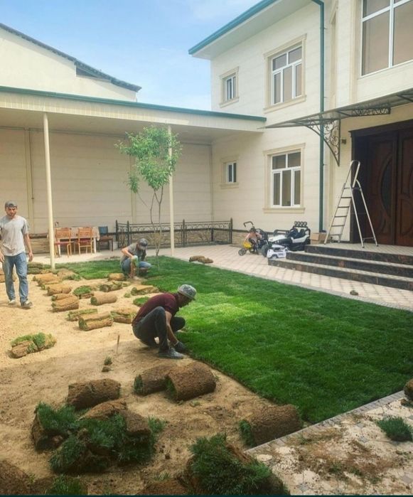 Газон посевной Газон рулонный. Гарантия 100%