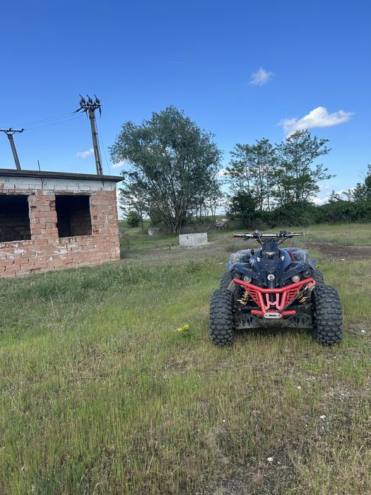 Can am renegade 800r