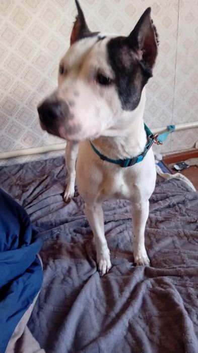 Продам чисто за символическую сумму.