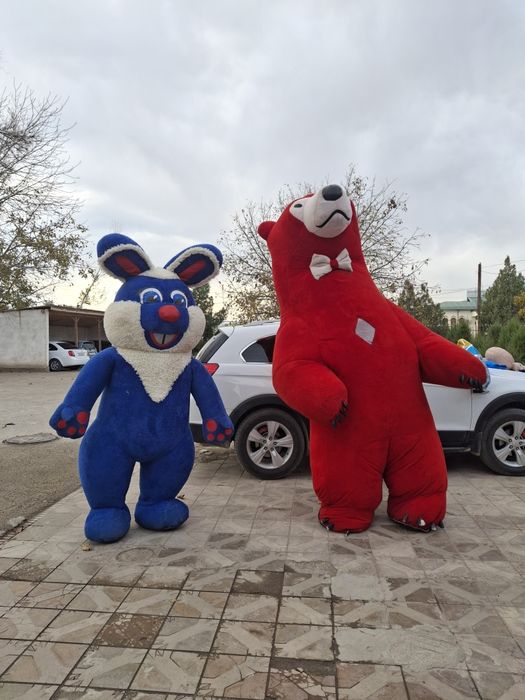 Ayiq sotiladi Srochna 600ming