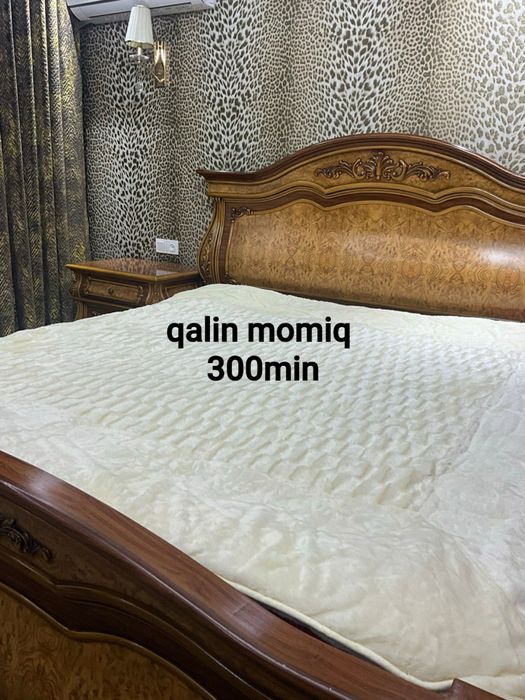 Ikki kishiliq qalin momiq