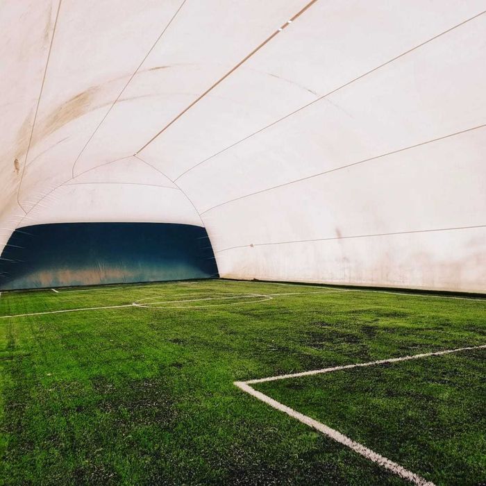 Искусственный газон