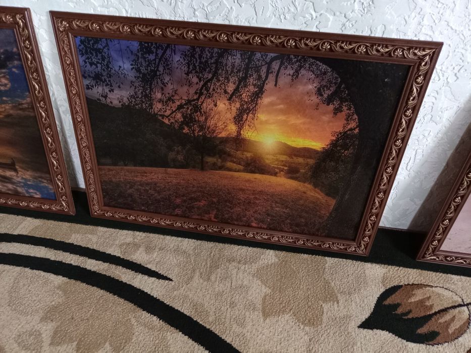 Картины (холст).