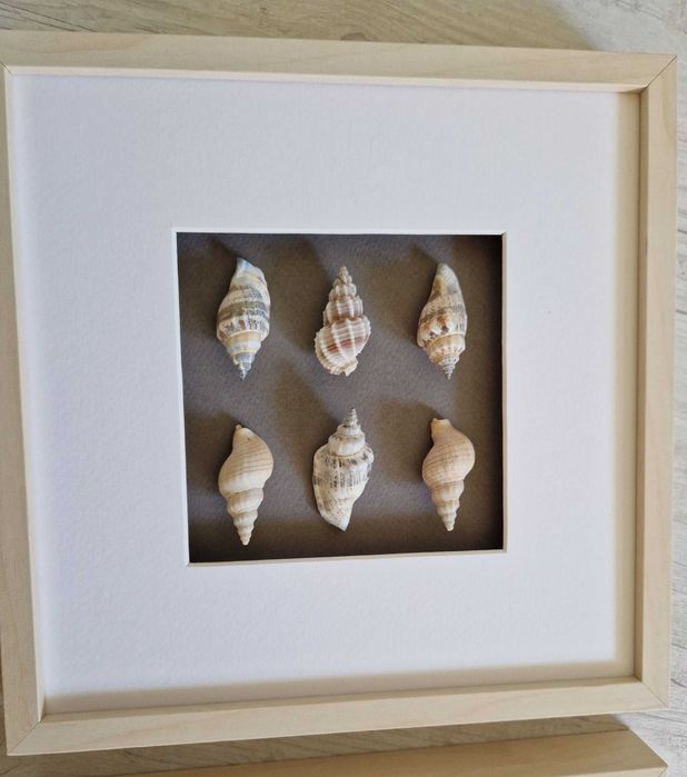 Tablouri unicat cochilii scoici pentru baie, hol, camera copil etc