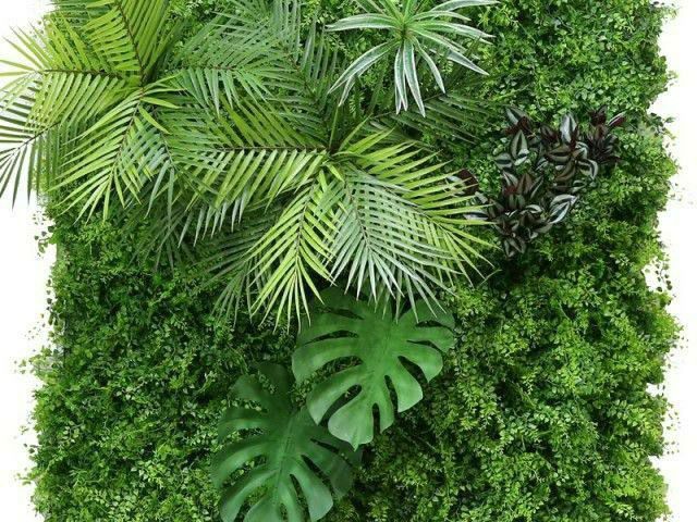 Фито стены озеленение цветы мох искусственный газон suniy gullar