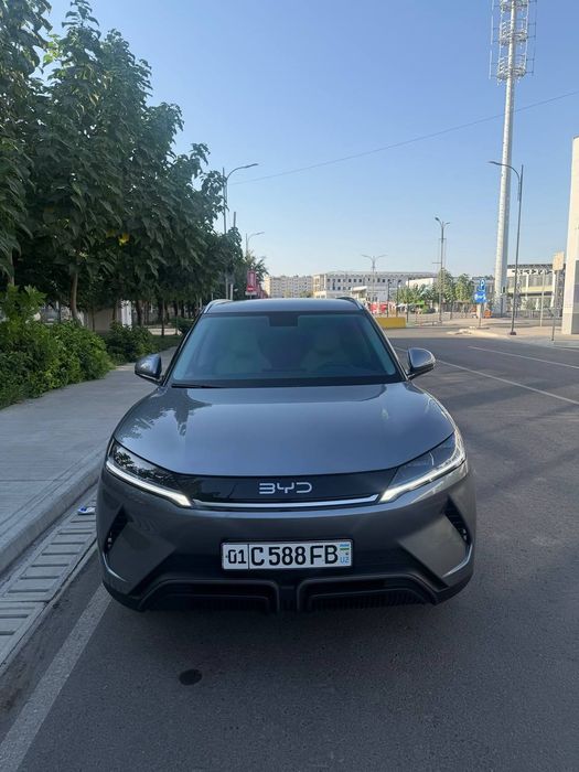 Byd yuan up 2025