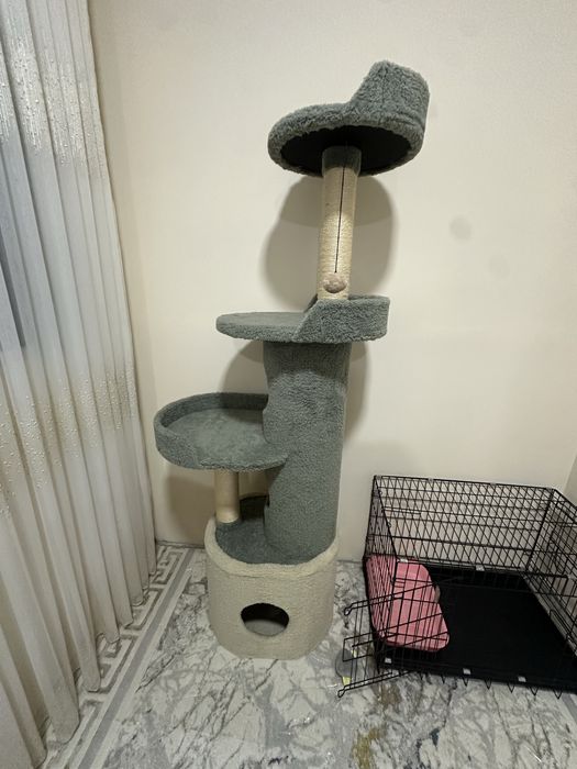 Sotllad uycha mushuga