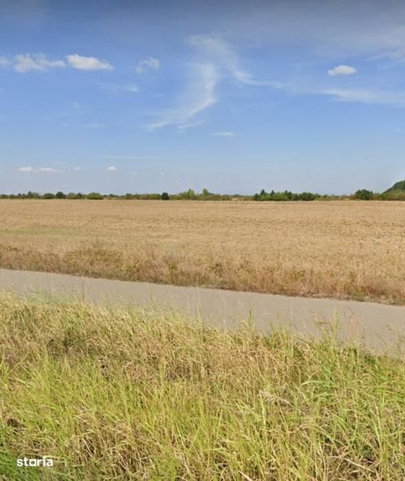 Nou | Teren Impecabil | 14177 mp | Corbeanca