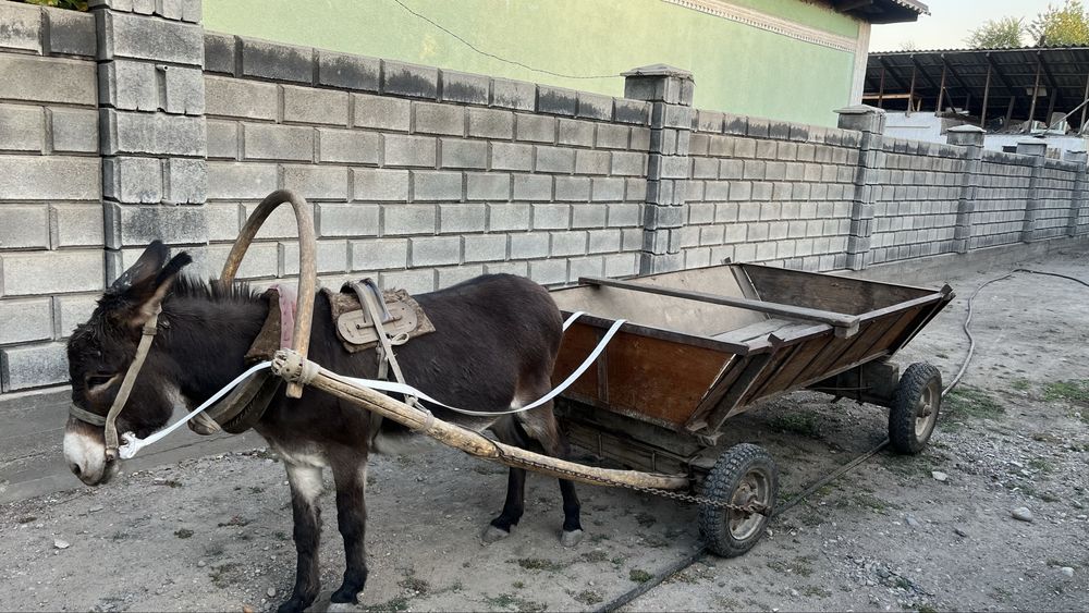 продается в комплекте