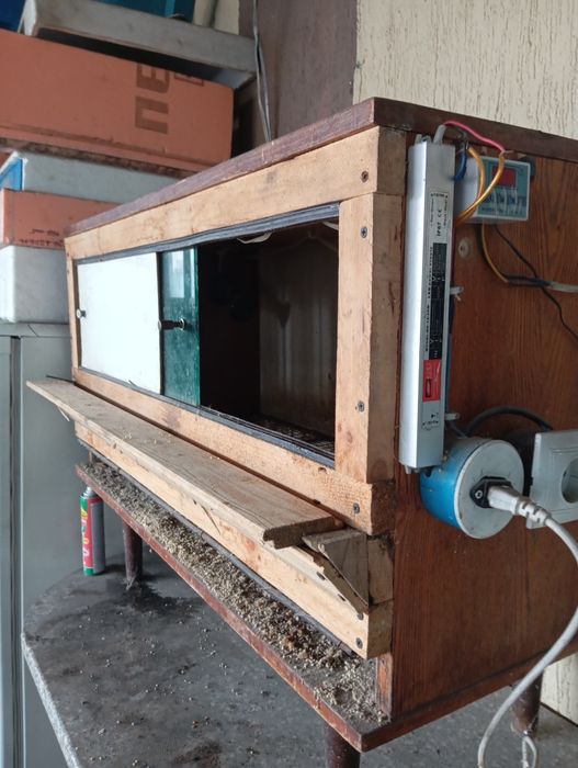 Прода брудер для циплят