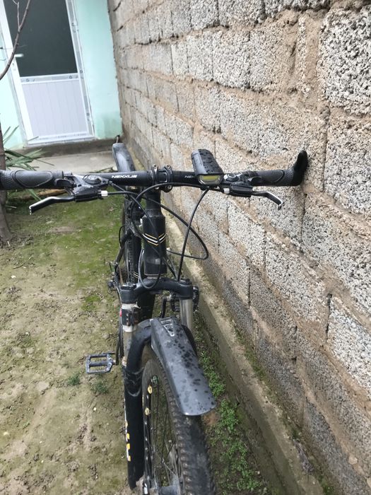 velik sotilad nekxus