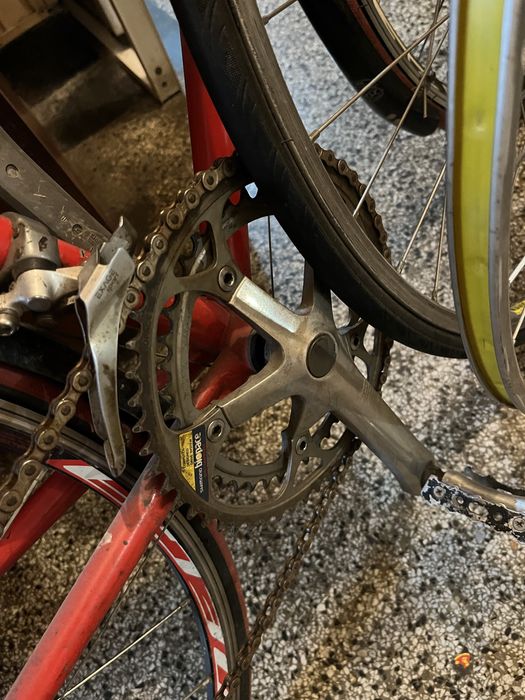 Френски бегач в добро състояние