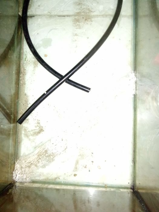 Аквариум аквариум