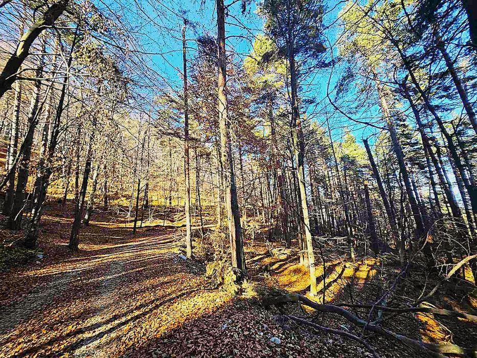 Земеделска земя 1 757 кв.м до последните къщи на Бойково – местност Ф