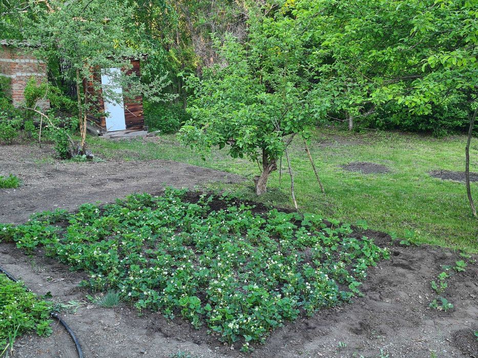 Продам дачу с/о Берёзка,  р-н ГЭС