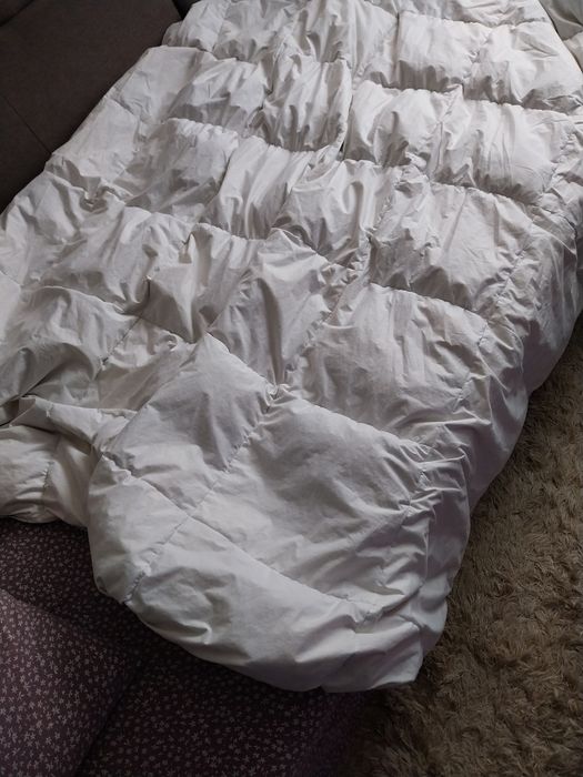 Pilotă cu fulgi de gașca