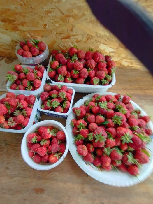 Продам дачу в СО Колос