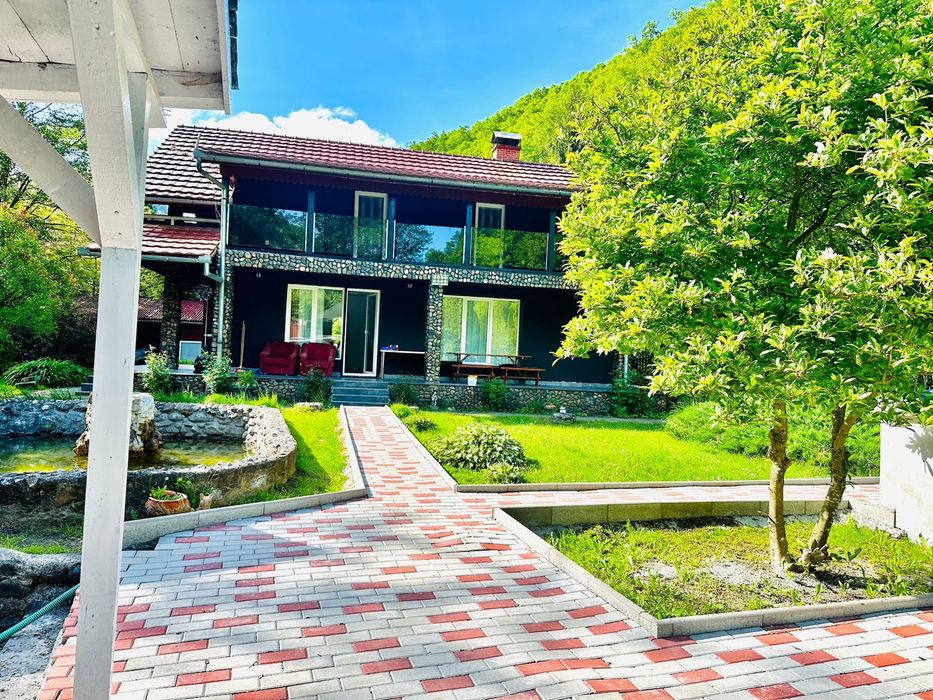 Cabana cu Piscina si Jacuzii  la Valea ierii , libera Revelion