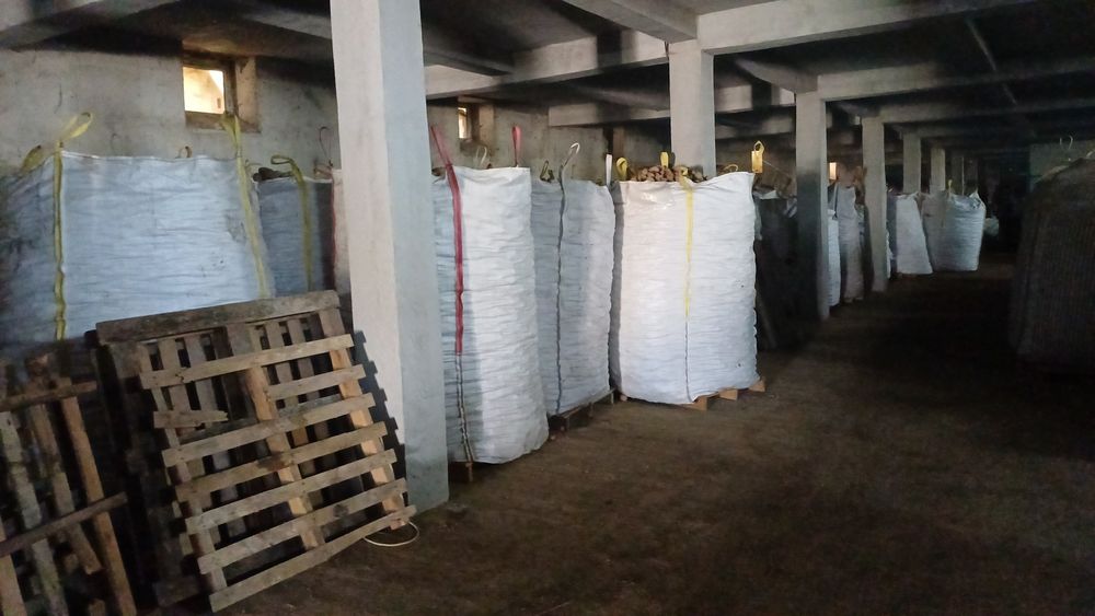 Cartofi consum, sămânță si pentru animale ( albi și rosii  )