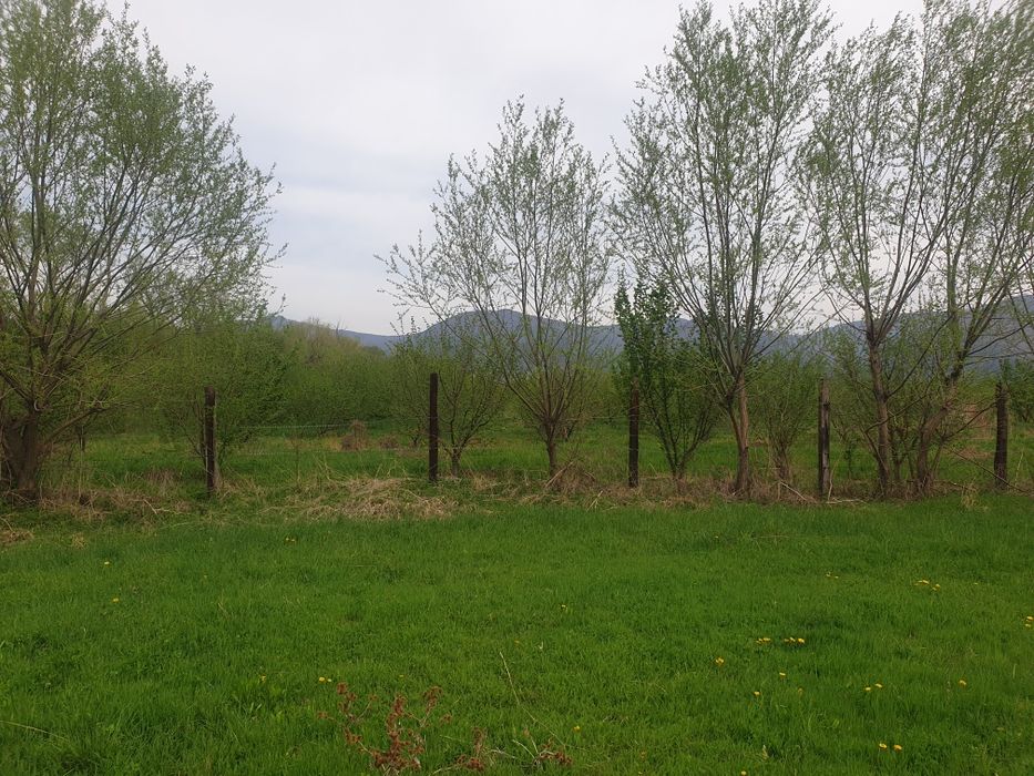 Продава се Земеделски имот в с. Шейново, Област Стара Загора -  кв.м за 3315 €/дка - Снимка #5