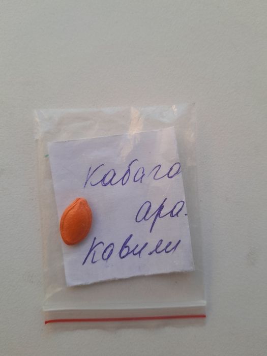 Продам плоскорез Фокина...