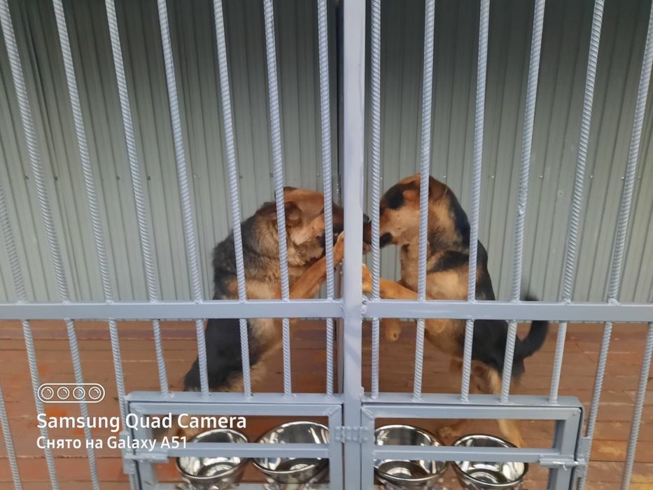 Продам вольер для собак