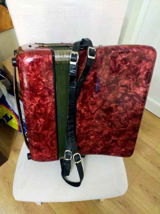 Acordeon mediu Delicia