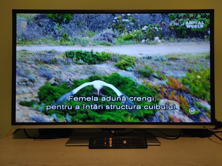 Smart Tv Toshiba 102 cm