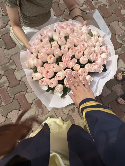 Цветы роза дамасская