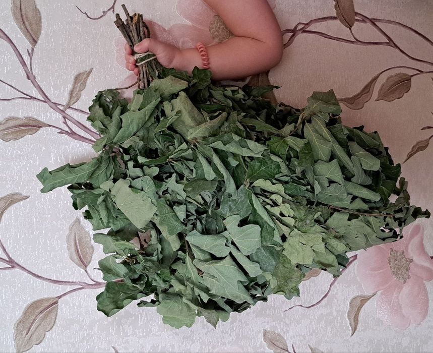 Веники для бани дуб