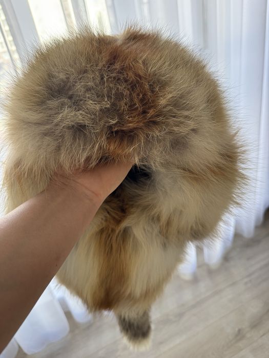 Охотничья, меховая ушанка