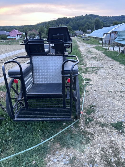 Trasura maraton pentru 1 sau 2 cai