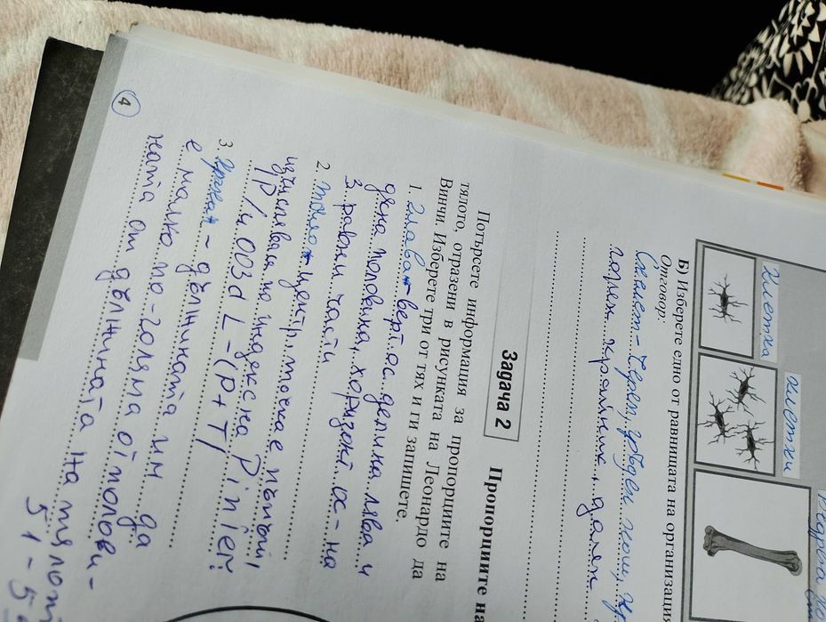 Учебни тетрадки по английски език и биология за 8 клас