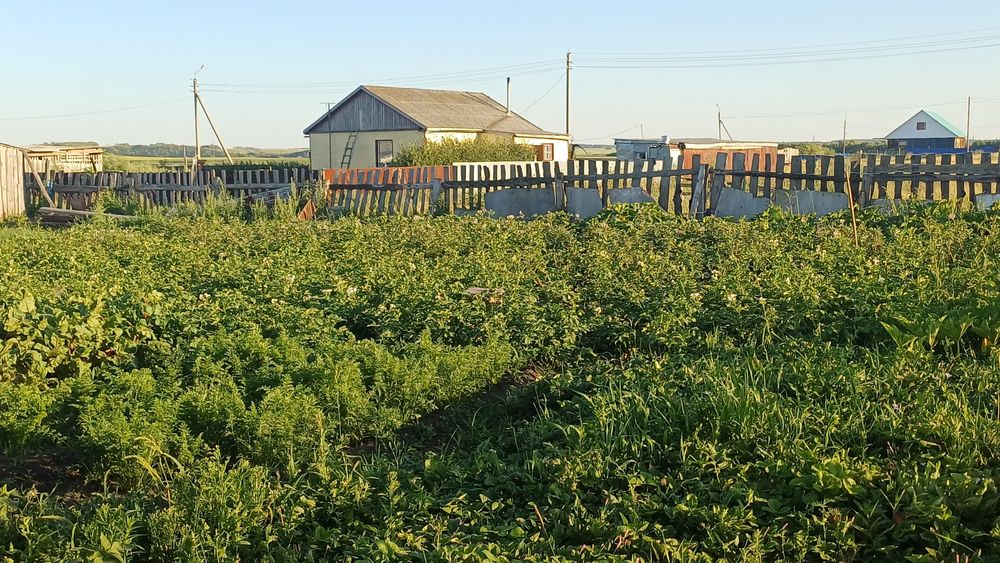 Продам дом в Бишкуле