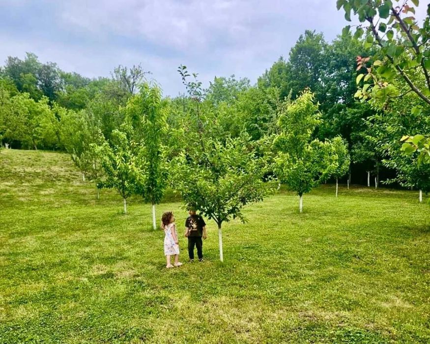 Casă de vânzare Cehu Silvaniei