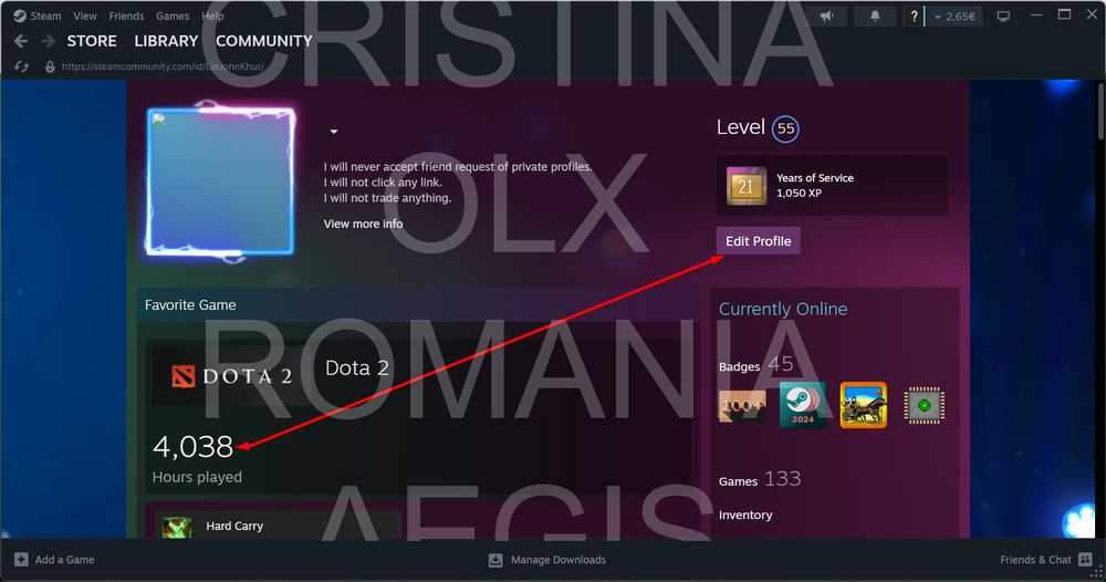 Trofeu original Dota 2 – Aegis of Champions 2024