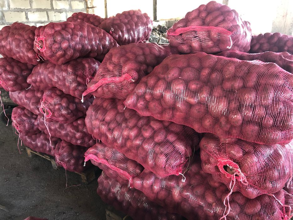 Картофелесажалка