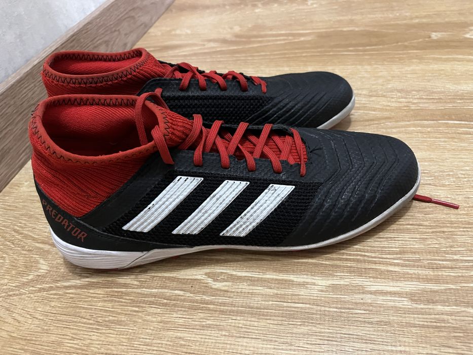 Сороконожки