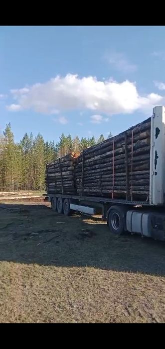 Кругляк 6 метровые