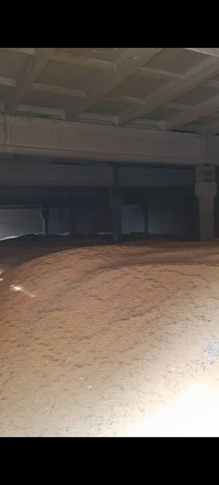 Соя, разных сортов