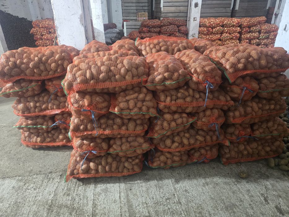 Cartofi consum Jelly și Paradiso.