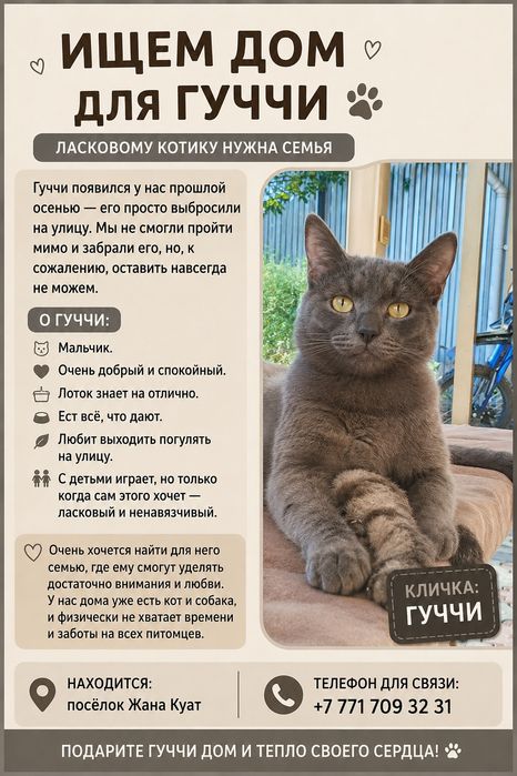 Отдаем кота в хорошие руки