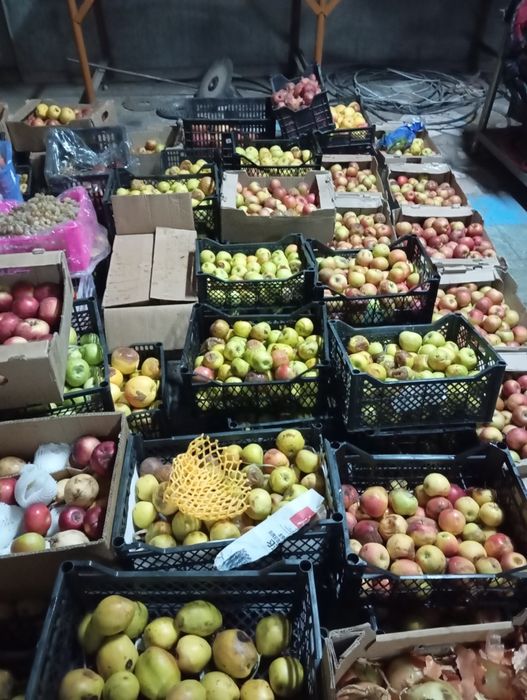 Алма груша гранат