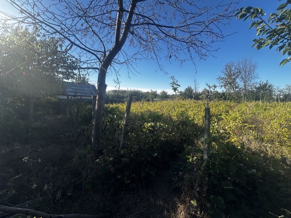 Teren 1.500 mp+ casa 75 mp – CUCA, GALAȚI